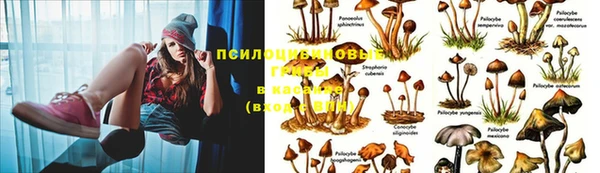 синтетический гашиш Абинск