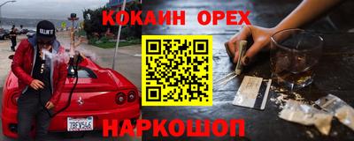 крисы Будённовск