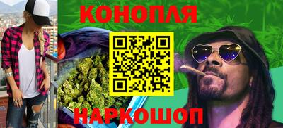крисы Будённовск