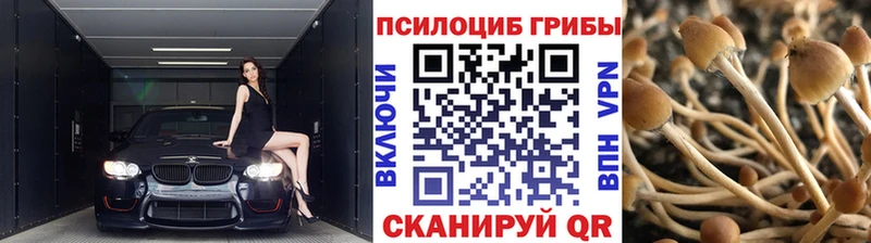 Галлюциногенные грибы ЛСД купить ОМГ ОМГ онион Кулебаки