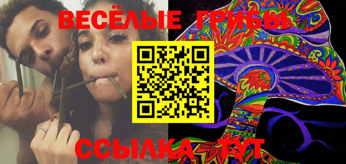 Псилоцибиновые грибы GOLDEN TEACHER  Вход с VPN  Кулебаки 